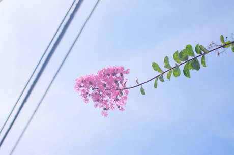 大赵风云录 降低生产成本