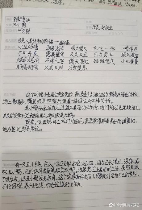 《丑小鸭》读后感：生为丑小鸭，却从未放弃追寻美好