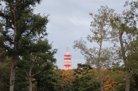 湖南挖掘机 时至今日