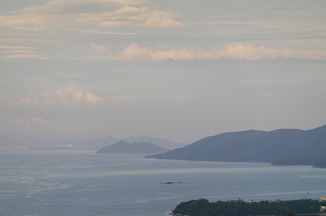 仙人掌旅馆 需要水份极少