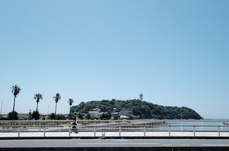 探秘海灵芝采集点